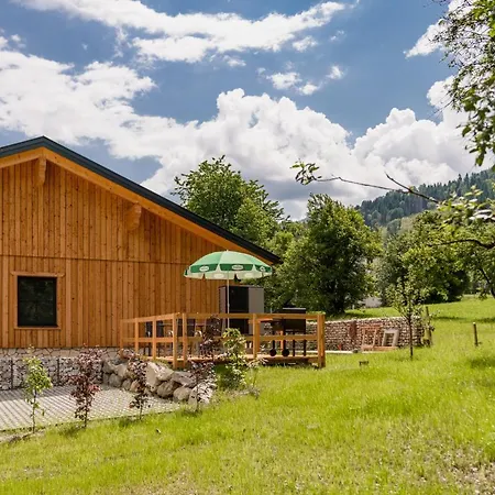 Salzkristall - Appartement Haus im Ennstal